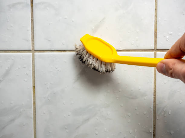 Professional Mold Removal in Atkins, VA