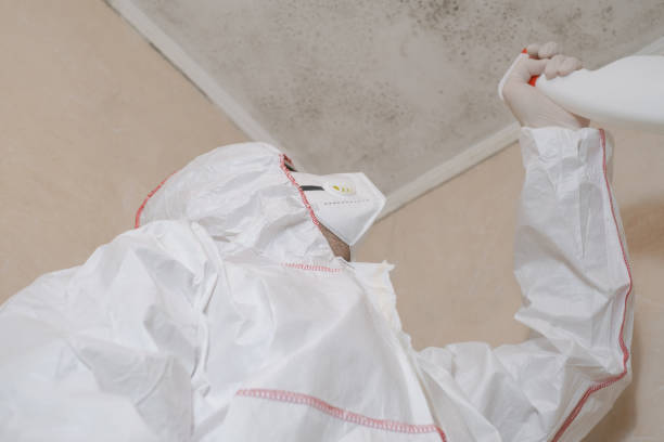 Best Emergency Mold Removal  in Atkins, VA
