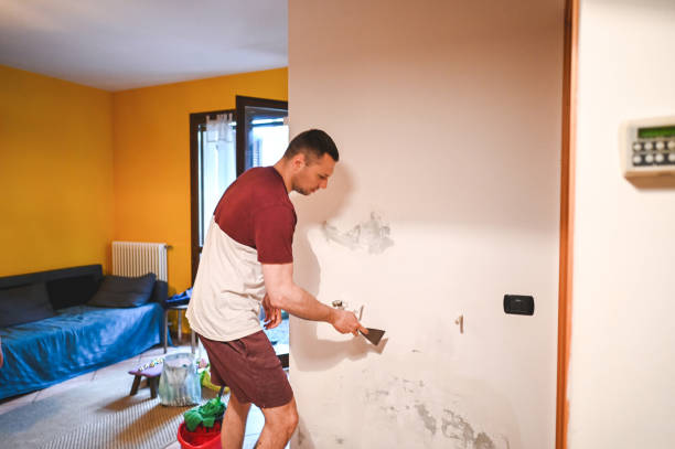 Best Office Mold Removal Services  in Atkins, VA