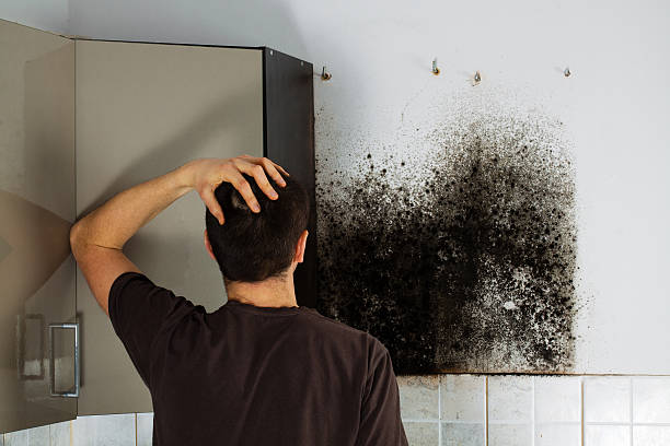 Best Mold Cleaning Services  in Atkins, VA